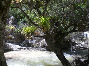 Landschaft Santa Cruz Trek zum Basecamp